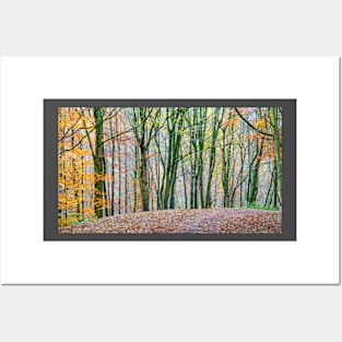 Autumn Woods Posters and Art